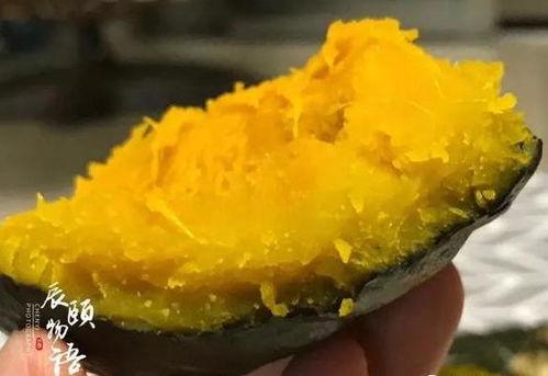 婴儿吃贝贝瓜的危害,婴儿食用贝贝瓜可能存在的健康风险解析