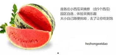 百万吃瓜中心,揭秘娱乐圈幕后风云