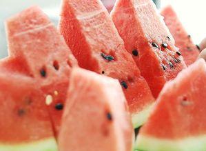 各种吃瓜无大全,吃瓜无大全，带你领略明星幕后故事