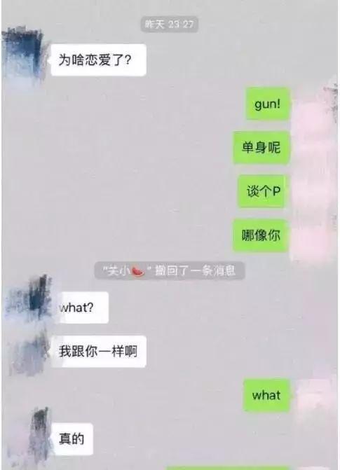 吃瓜微信聊天图片,一场微信聊天图片引发的趣味探讨