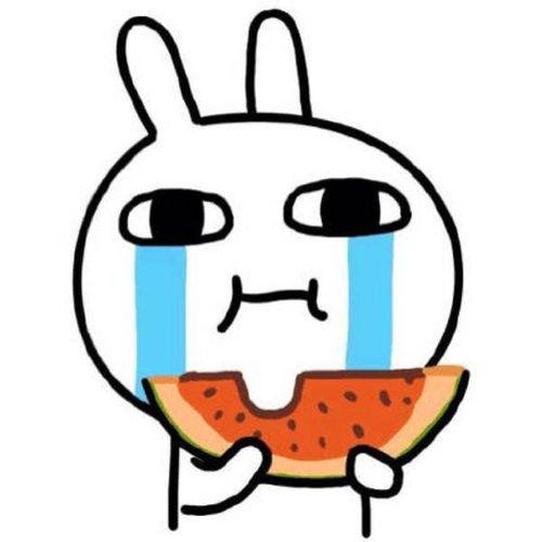 吃瓜微信聊天图片,一场微信聊天图片引发的趣味探讨