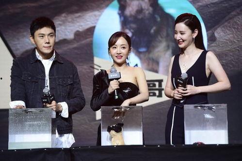 明星爆料吃瓜合集,明星吃瓜合集大揭秘