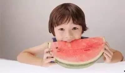 胖嘟嘟吃瓜,胖嘟嘟的瓜田奇遇记