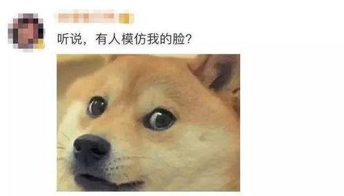 吃瓜狗头结合,揭秘娱乐圈的“瓜田”奇闻轶事