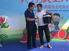 白鹿吃瓜比赛,一场舌尖上的狂欢盛宴