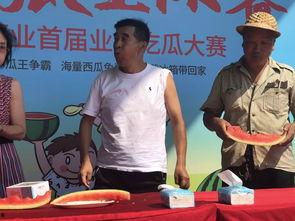 白鹿吃瓜比赛,一场舌尖上的狂欢盛宴