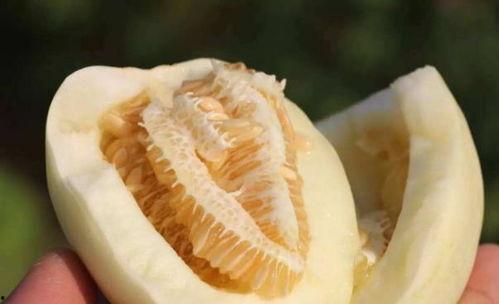 郑母吃瓜,揭秘娱乐圈背后的故事