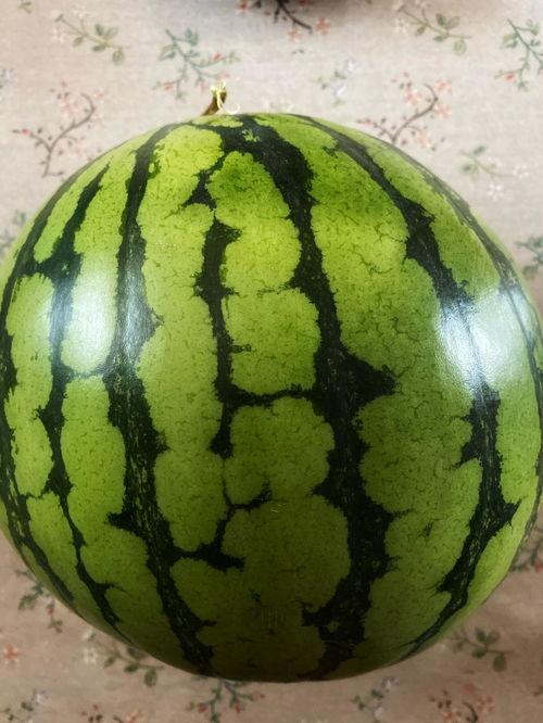 吃瓜无实物表演,揭秘吃瓜无实物表演的魅力所在