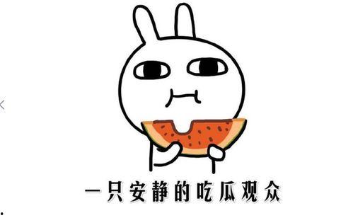 吃瓜的正确手法,解锁吃瓜的正确姿势与技巧
