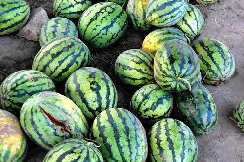 小末在线吃瓜,揭秘娱乐圈幕后故事