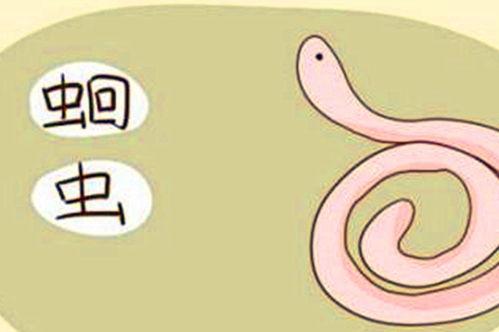 宝宝瓜吃臭臭,吃臭臭的奇妙之旅