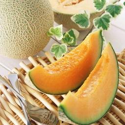 中国哈密瓜怎么吃,探索中国甜瓜的多样美味
