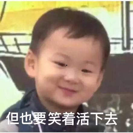 一排吃瓜群众视频表情包