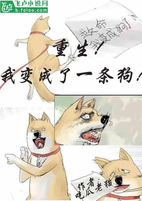 吃瓜中医小说全文阅读,穿越时空的中医传奇