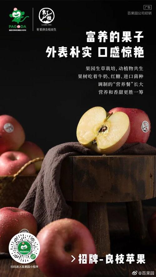 吃瓜不付费文案,畅享娱乐盛宴！