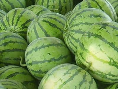 梦见外人给瓜吃,揭秘外人赠瓜的神秘寓意