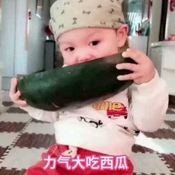吃瓜小朋友头像,揭秘吃瓜小朋友的可爱瞬间