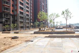 韩城吃瓜紫御华府