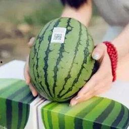 睡觉错过吃瓜,如何弥补精彩瞬间？