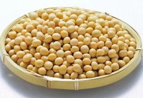 黄豆人陕西吃瓜,探寻地道民俗与美食之旅