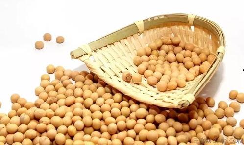 黄豆人陕西吃瓜,探寻地道民俗与美食之旅