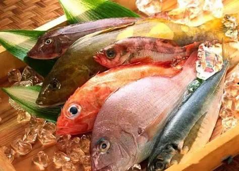 大鱼儿吃瓜围观时间,揭秘围观背后的时间奥秘