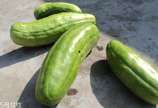 吃脆瓜能利水吗,夏日消暑佳品解析