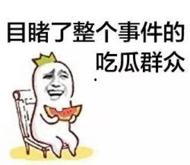 sans吃瓜群众,揭秘网络热点的幕后故事