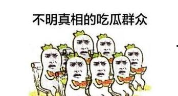 sans吃瓜群众,揭秘网络热点的幕后故事