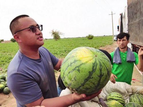 吃瓜漩涡,揭秘娱乐圈的幕后风云