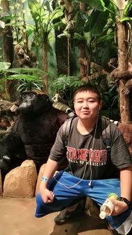 辰少爷吃瓜,揭秘娱乐圈幕后真相